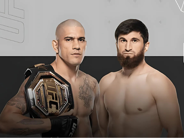 Assistir UFC 313: Alex Pereira x Magomed Ankalaev ao vivo online 08/03/2025